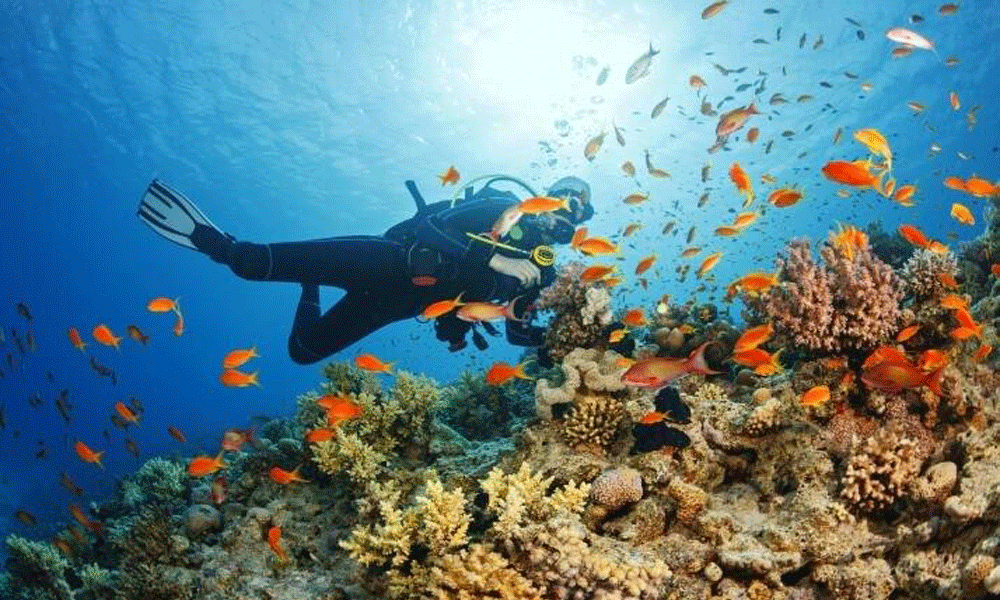 weh island tour package