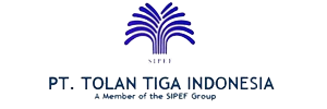 tolan tiga
